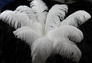 30-35см красивые страусовые перья для самостоятельных украшений