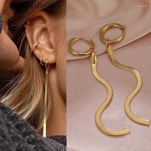 Dangle Küpeler Altın Tassel Paslanmaz Çelik Asma Metal Çemberler Uzun Yılan Zincirleri Kadın Moda Tasarımı Takı