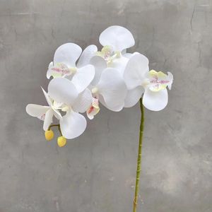 Dekoratif Çiçek Toptan Yapay Orkide 3D Baskılı Renk Ev Düğün Düğün Dekorasyon Kılavuzu İçin Sahte Güve Kelebek