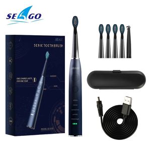 Diş Fırçası Seago Elektrikli Diş Fırçası Yetişkin USB Hızlı Şarj Su Geçirmez Şarj Edilebilir Sonik Otomatik Diş Fırçası Yedek Kafalar SG575 230308