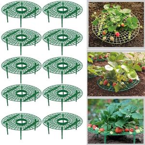 Garden Supplies Other 5 10 Pack Strawberry Supports Keeping Plant Fruit Stand Vegetable Growing Rack Tools For Protecting Vines Avoid Ground