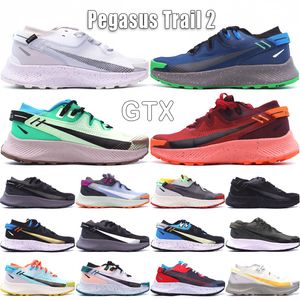 Pegasus Trail 2 GTX Erkek Kadın Koşu Ayakkabısı 2s Tasarımcı Saf Platin Koyu Teal Yeşil Siyah Metalik Koyu Gri Barely Volt Zehir Yeşili Açık Spor Ayakkabı Boyut 36-45