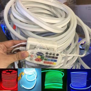 Şeritler LED RGB Neon Işık Şeridi Su Geçirmez IP68 Halat lambası Dimmer Anahtarı IR 24Key uzak AB/UK/AU/USLED SENRIPLED