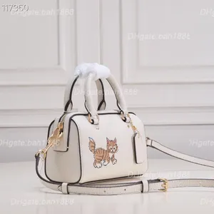 Mini Rowan Boston Çanta Tasarımcı Kadınlar El çantası Lüks Kova Çantası Moda Karikatür Kedi Yastığı Sarbaç Deri Bir Omuz Crossbody Bag