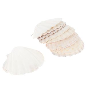 Colares de pingentes conchas de vieiras para pratos de assando pratos do mar de bandeja que serve grandes pratos naturais lanche de conchas brancas
