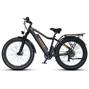 Bicicletta elettrica Dynalion Adulti 26