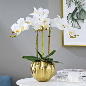 Dekoratif çiçekler yüksek simülasyon gerçek dokunmatik Ikebana yapay kelebek orkide çiçek aranjmanları beyaz düğün lateks phalaenopsis