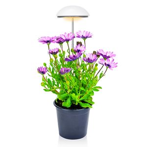 Светодиодные мини -зонтичные растения выращивают свет, сад трав, 24LED высоте 20 Вт, регулируемый, таймер, гигантский, полный спектр, для выращивания растений, различные растения, белые