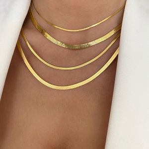 50cm Gold Stainless Steel Herringbone Choker - Unisex Snake Chain Necklace for Women