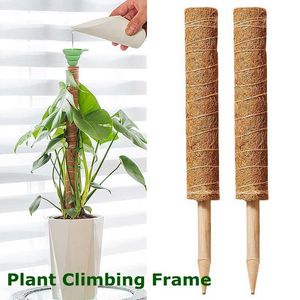 Other Garden Supplies Plant Cages Supports Coir Plant Ties Bandage Wrap Reusable Plant Climbing Stand Flower Plants Stick Balcony Garden Vines Creeper G230519