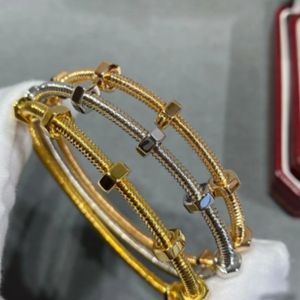 Metalik Doku Vidalı Bileklik Elmaslar 18 K Gold 16-19cm Resmi Replica Mücevher En Kalite Lüks Marka 5a Bangles Klasik Stil Bilezik Aşk Bangl