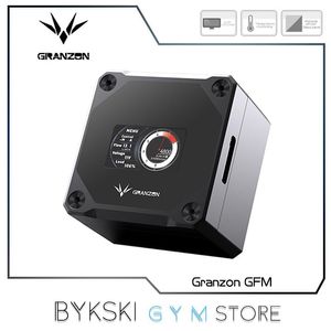 Управление Granzon GFM Digital Display DDC Насосы Smart Pwm Беспроводной скорость управление скоростью для охлаждения водяного охлаждения 4800 об/мин подъемной подъемник 6 метров 700 л/ч