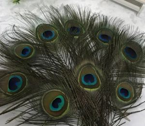 Pena de pavão natural superior 23-30cm DIY roupas decoração plumagem artesanato
