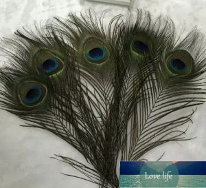 Pena de pavão natural 23-30cm DIY roupas decoração plumagem artesanato qualidade