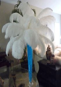 Yeni devekuşu tüyleri Düğün Partisi Masası Dekorasyonu için Plume Centerpiece Doğal Beyaz Seçmek için birçok boyut 9445360