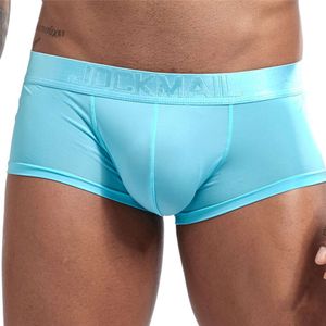 Nylon Underwear Men Sexy Lingerie Gay Silk Boxer Pouch Slip Cueca Masculina Sex Boxershorts Ropa Interior Hombre