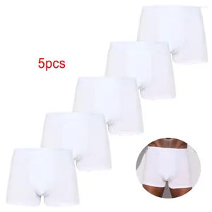 Calzoncillos 5 unids paquete blanco 2023 hombres bragas ropa interior de algodón masculino marca boxeador y para homme conjunto de lujo pantalones cortos caja kit de deslizamiento