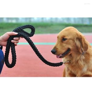 Dog Collars Leash Pet Accessories Pets Strong Rope Comfortable Products For Eight-strand M/L/XL