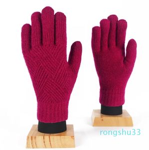 Erkekler için çift katmanlı dokunmatik ekran eldivenleri, peluş ve kalın soğuk bisiklet sıcak eldivenleri