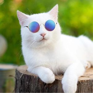 Occhiali da sole 10 pz/lotto Occhiali da sole per gatti Cuccioli di animali Protezione UV Occhiali da sole Bambole Occhiali da sole Cani di piccola taglia Cosplay Puntelli per foto Prodotti per animali domestici