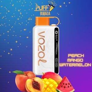 Выпуск нового продукта Vozol Star 9000/12000 Puff Электронная сигарета Оптовая продажа Одноразовый испаритель