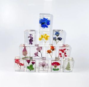Preslenmiş Çiçek Kağıt Ağır Bilimi Keşif Gerçek Çiçekler Örnek Koleksiyonu Reçine Kağıt Ağırlıklar Küp Çocuklar için Partisi