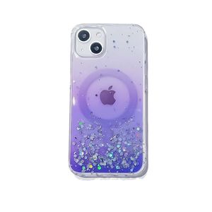 İPhone için Gradyan Glitter Manyetik Net Kılıf 15 14 12 13 11 PRO Max X XS XR Silikon TPU Arka Kapak Desteği Şeffaf Kablosuz Şarj Kılıfları Fabrika