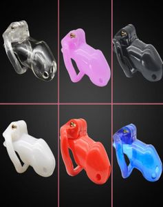 Male Resinous Short Chastity Cage with Four Rings Small Size Men039s Resin Locking Belt Device Six Colors Optional Sex Toy Doct2791462