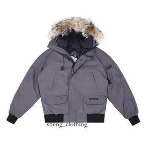 Canda Goose Ceket Tasarımcı Kaz Palto Kış Pilot Tasarımcı Erkekler Kadınlar Parkas Homme Outerwear Coats 7293 Gooseberry