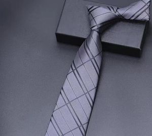 Bağlar 2022 Erkek Lüks Tasarımcı Business Tie Fashion Tie Toptan