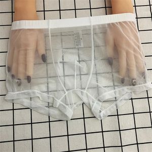 Transparent Boxers for Men See Through Male Underpants Sexy Low Waist Panties Lingerie Intimates 231226