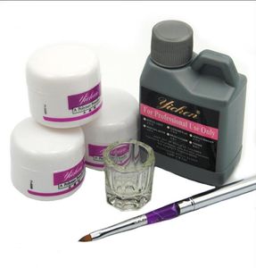 Pro Acrylic Nail Powder Liquid 120ML Brushes Deppen Dish Acryl Poeder Nail Art Set Design Acrillico Manicure Kit 1535563523