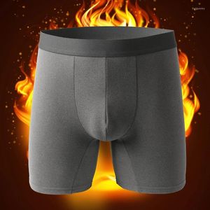 Cuecas 1 pçs/lote roupa interior térmica para homens boxers homem quente calcinha shorts lã homme calças deslizamento fluff masculino bottoms