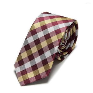 Bow Ties 2023 Mikrofiber Ekose Erkekler İçin İnce Boyun Tie Check Cravat Polyester Ascot