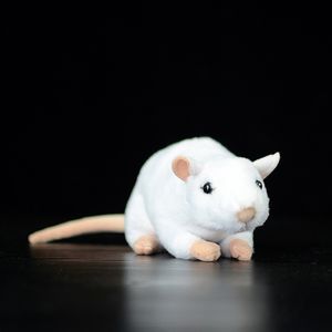 Bonecas de pelúcia macios vida real mini ratos brancos mouse brinquedo de pelúcia realista ratos bichos de pelúcia brinquedos de aniversário presentes de natal 230711