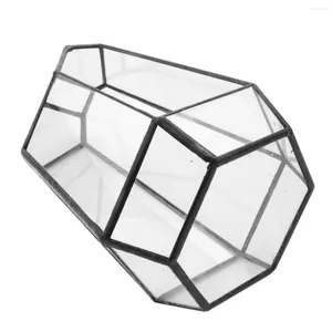 Сумки для хранения дома Гексагональная стеклянная ваза за гонорар миниатюрный мини -пейзаж