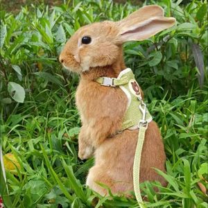 Small Animal Supplies est Cute Rabbit Harness and Leash Set Bunny Pet Accessories Vest Harnesses Leashes for Outdoor Walking Pets 230719