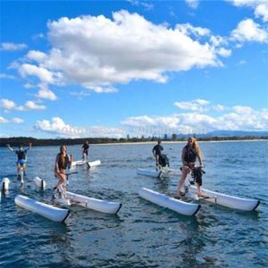 Heavy-duty PVC pontoon Waterbike inflatable water bicycle tube floating pedal boat tubes on Without bike pump270f