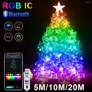 Dizeler 5m/10m/20m WS2812B RGBIC Bluetooth Noel Işıkları LED Dize Doğum Günü Partisi Düğün Odası Dekorasyon Işığı Adrese edilebilir 5V USB