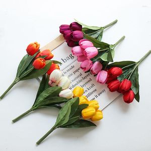 Декоративные цветы семиглаз