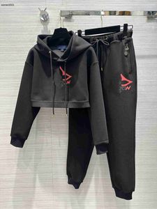 Marka Spor Seti Ladies Hoodie Suit Sonbahar Kış Yeni Uzun Kollu Kazak Jogging Pantolon İki Parçalı Tasarımcı Giyim Moda Trailtsuit 11