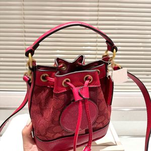 Moda tasarımcı çantası yeni sayaç özel kumaş donanım logo astar boyutu 17x18cm mini kova çantası el tutulan çapraz kanatlı çanta