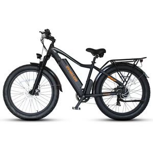 Bicicletta elettrica Dynalion per adulti Pneumatico largo 26