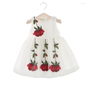 Девушка платья 0-4 года девочки для девочек кружевные платье для малышей детские роза цветочный цветок