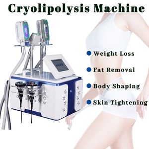 Cryolipoliz Zayıflama Makinesi Mini Kriyoterapi Çift yonga Sökülmesi 3 Kriyo Kulpları Mevcut Çok Fonksiyonlu Kullanım