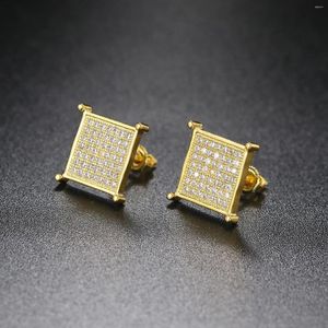 Ohrstecker Zirkonia Bling Iced Out Ohrring Vergoldung Für Männer Frauen Hip Hop Modeschmuck Geschenke Großhandel