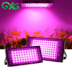 Grow Lights 220V LED Grow Light Full Spectrum Plant Lamp Floodlight Phytolamp for Plant Greenhouse Tent Seeds Hydroponic 50W/100W/200W/300W P230413