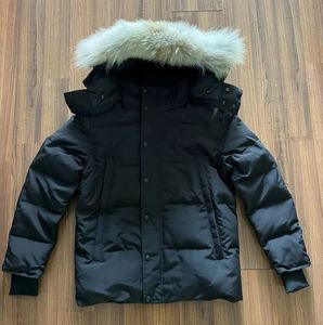 Kış adamları aşağı ceketler gerçek çakal kürk tasarımcısı homme pufper açık rüzgarlık jassen dış giyim kapüşonlu fourrure manteau ceket ceket hiver parka doudoune