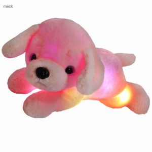 LED Çırpma Oyuncak 38cm Aydınlık Sevimli Peluş Oyuncak Köpek Led Işık Müzikal Yumuşak Nardin Dolabalı Hayvanlar Yastık Oyuncak Hediye Bebeği Kızlar Kızlar