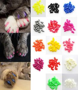 100pcslot renkli yumuşak evcil kediler kedi pençe pençeleri kontrol tırnak kapakları kapak boyutu xsxxl ile yapıştırıcı glue5268176